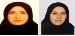 پذیرش مقاله سرکار خانم دکتر زهرا قاسم پور و خانم سارا چادرشبی دانشجوی کارشناسی ارشد علوم و صنایع غذایی در ژورنال Food Chemistry با (Impact Factor:7.5, Q1 ) 